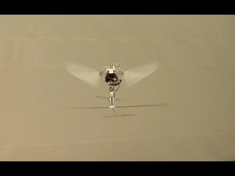 Robotic Hummingbird